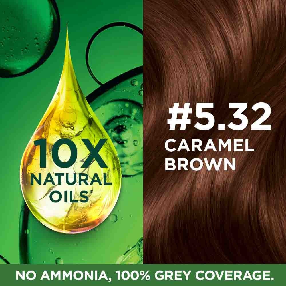 Application Process of Garnier Color Naturals