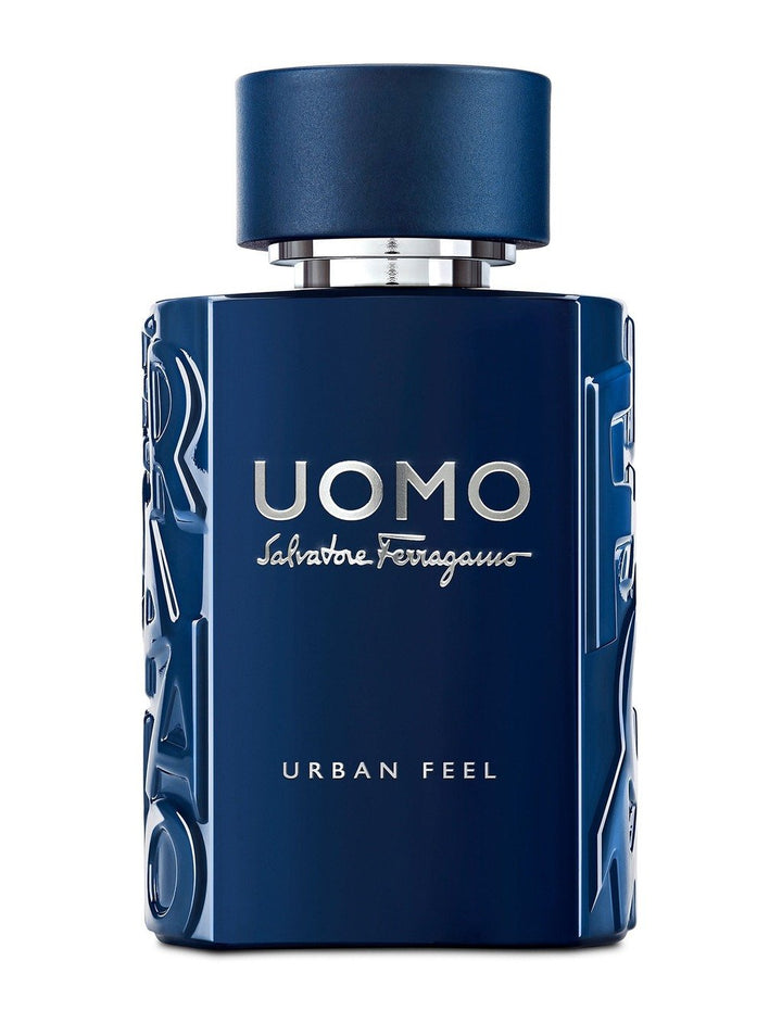 Ferragamo Uomo Urban Feel Perfume for Men 100 ml